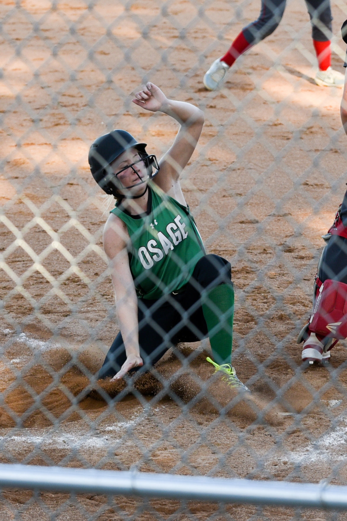 DSC_0919.jpg